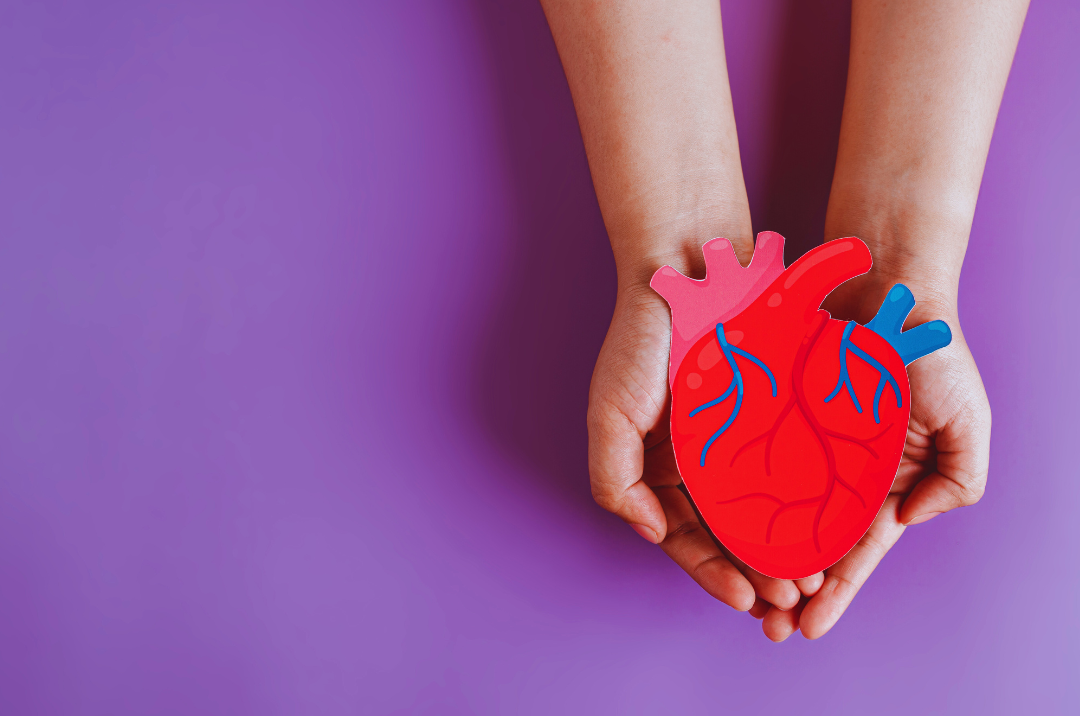 updated 2026 guidelines for treating blood lipids (and protecting your heart)